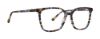 Picture of Xoxo Eyeglasses Everton