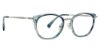Picture of Trina Turk Eyeglasses Keala