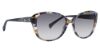 Picture of Badgley Mischka Sunglasses BM Buitique