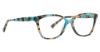 Picture of Trina Turk Eyeglasses Eartha