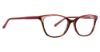 Picture of Vera Bradley Eyeglasses Taunton