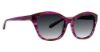 Picture of Vera Bradley Sunglasses VB Santee