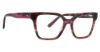 Picture of Xoxo Eyeglasses Birmingham