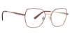 Picture of Xoxo Eyeglasses Newcastle