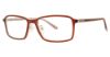 Picture of Stetson Eyeglasses Sf 3001