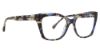 Picture of Trina Turk Eyeglasses Marsai