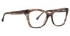 Picture of Trina Turk Eyeglasses Marsai