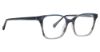 Picture of Trina Turk Eyeglasses Ronni