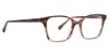 Picture of Trina Turk Eyeglasses Ronni