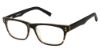 Picture of Vision's Eyeglasses AFV243