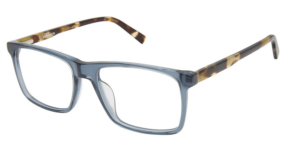 Picture of Vision's Eyeglasses AFV244