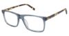 Picture of Vision's Eyeglasses AFV244