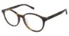 Picture of Vision's Eyeglasses AFV250