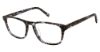 Picture of Vision's Eyeglasses AFV266