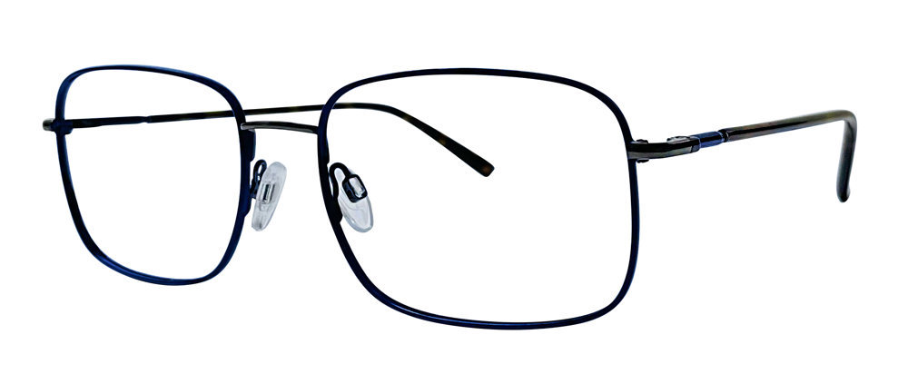 Picture of Stetson Eyeglasses Stainless Steel 603