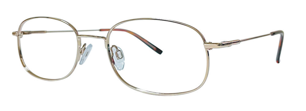 Picture of Stetson Eyeglasses Stainless Steel 602