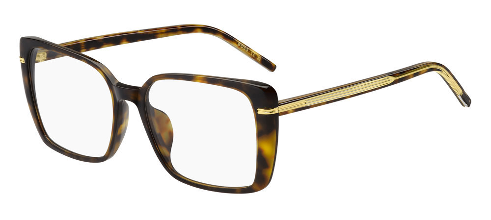 Picture of Hugo Boss Eyeglasses 1738/G