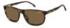 Picture of Carrera Sunglasses C FLEX 08/G/S