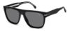 Picture of Carrera Sunglasses 340/S