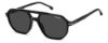 Picture of Carrera Sunglasses 341/S