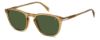 Picture of David Beckham Sunglasses DB 1160/S