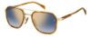 Picture of David Beckham Sunglasses DB 1161/S