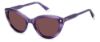 Picture of Polaroid Sunglasses PLD 4175/S/X