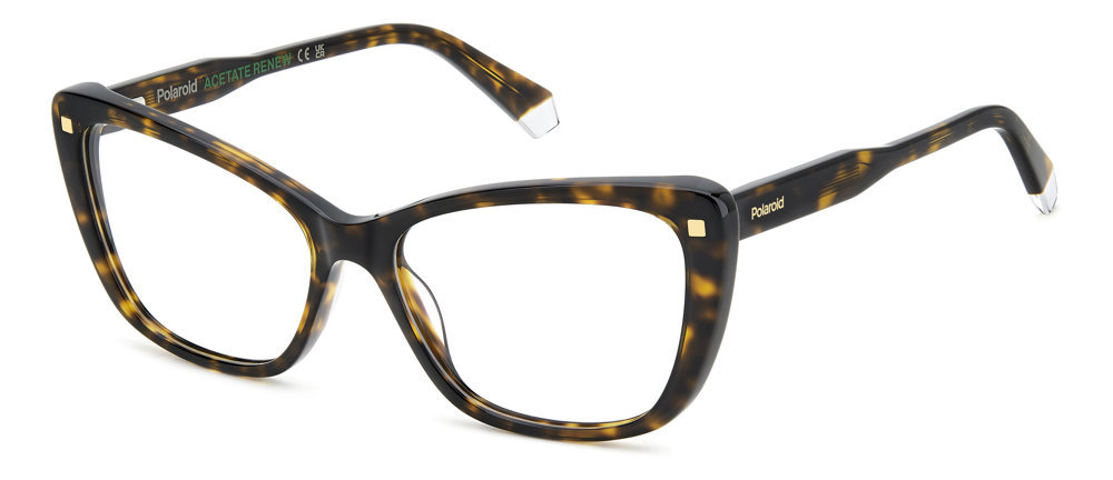 Picture of Polaroid Eyeglasses PLD D542