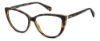 Picture of Polaroid Eyeglasses PLD D543