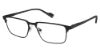 Picture of Ben Sherman Eyeglasses PLEYDELL