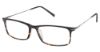 Picture of Tlg Eyeglasses NU089