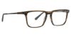 Picture of Argyleculture Eyeglasses Young