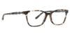 Picture of Jenny Lynn Eyeglasses Intrepid