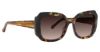 Picture of Trina Turk Sunglasses TT Sandbanks