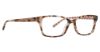 Picture of Vera Bradley Eyeglasses Fayla