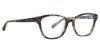Picture of Vera Bradley Eyeglasses VB Cassi