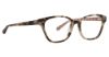 Picture of Vera Bradley Eyeglasses VB Cassi