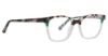 Picture of Vera Bradley Eyeglasses VB Evann