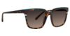 Picture of Vera Bradley Sunglasses VB Kassidy