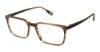 Picture of Evatik Eyeglasses E-9299