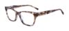 Picture of Jones New York Eyeglasses VJON804