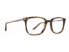 Picture of Rip Curl Eyeglasses RIP CURL-RC 2114