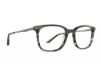 Picture of Rip Curl Eyeglasses RIP CURL-RC 2114