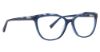 Picture of Trina Turk Eyeglasses Inde