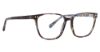 Picture of Vera Bradley Eyeglasses Larisa
