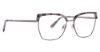 Picture of Xoxo Eyeglasses Dover