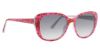 Picture of Vera Bradley Sunglasses VB Laura H
