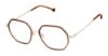 Picture of Otp Eyeglasses OTP-211