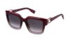 Picture of Furla Sunglasses SFU981