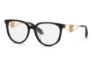 Picture of Roberto Cavalli Eyeglasses VRC148